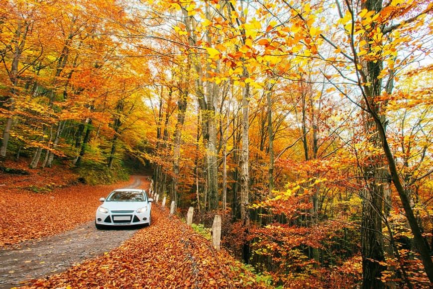 Benefits Of All Season Tyres